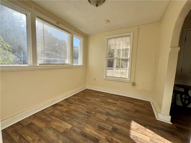 spare room featuring dark wood-type flooring, a textured ceiling, and a wealth of natural light