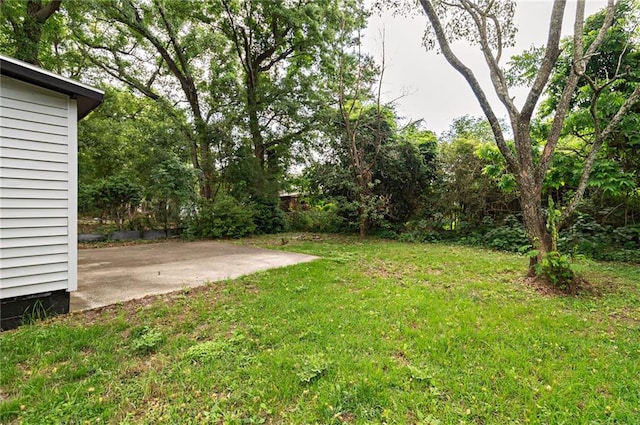 view of yard featuring a patio