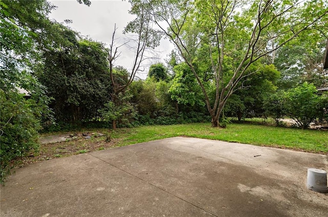 view of yard with a patio