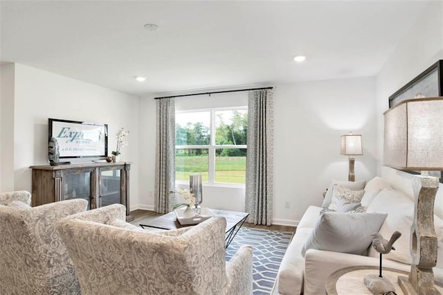 living room with hardwood / wood-style flooring