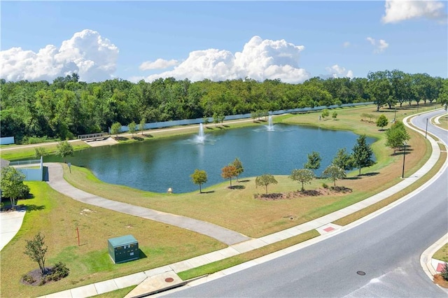 property view of water
