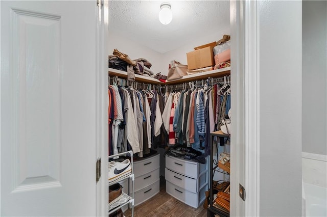 spacious closet featuring hardwood / wood-style flooring