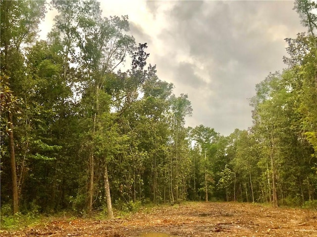 14268 State Highway 104, Silverhill AL, 36576 land for sale