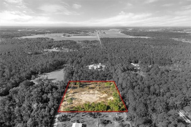 29883 Kingdom Ln, Elberta, AL 36530