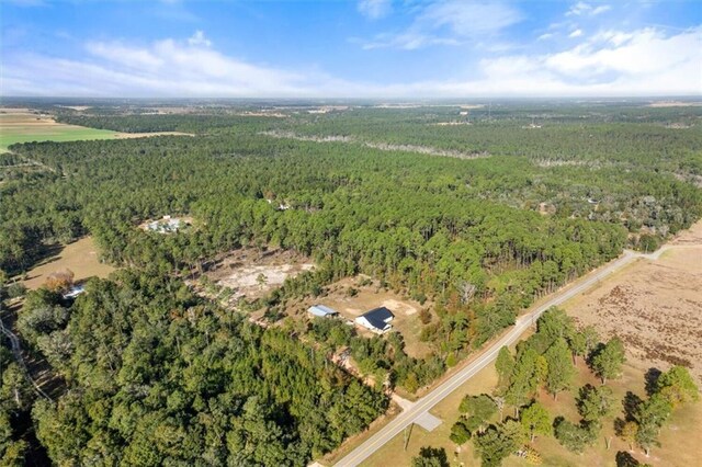 29883 Kingdom Ln, Elberta, AL 36530