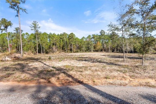 29883 Kingdom Ln, Elberta, AL 36530