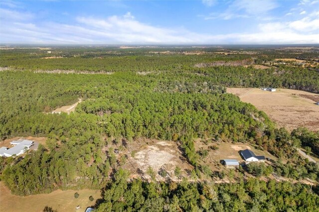 29883 Kingdom Ln, Elberta, AL 36530