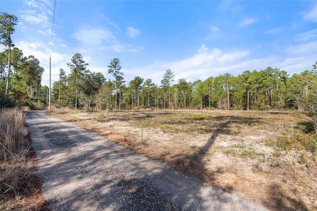 29883 Kingdom Ln, Elberta, AL 36530