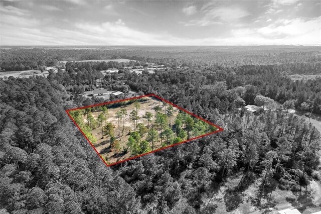 29883 Kingdom Ln, Elberta, AL 36530