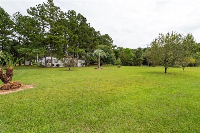 23700 Cumberland Rd, Robertsdale, AL 36567 - view of yard