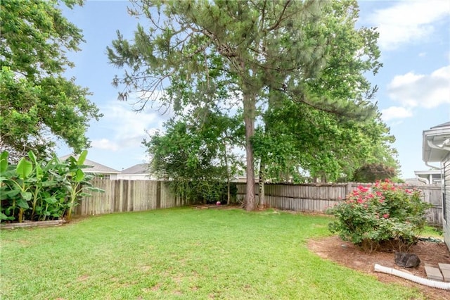 8522 Brandy Oak Ct, Mobile, AL 36695 - view of yard