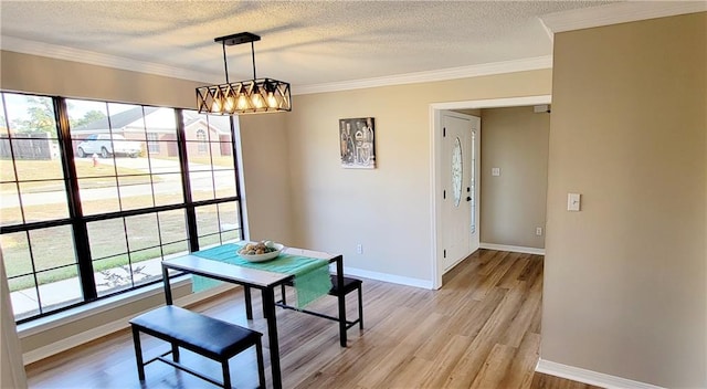 dining area featuring light hardwood / wood-style flooring, a textured ceiling, plenty of natural light, and crown molding