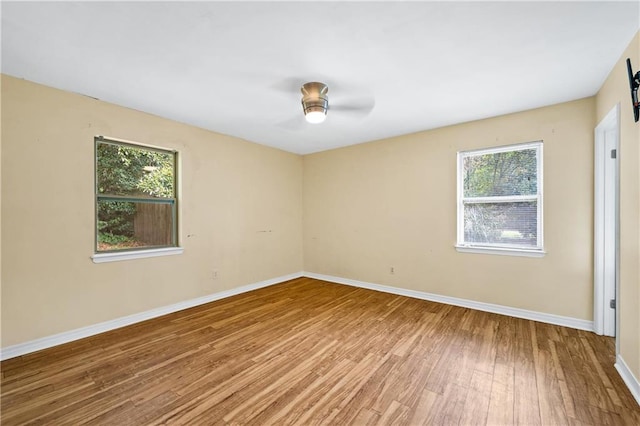 spare room with wood-type flooring and ceiling fan