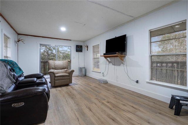 living room featuring ornamental molding and light wood-type flooring