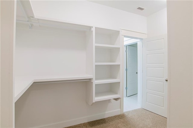 305 Hannah Chase Way, Satsuma, AL 36572 - view of closet