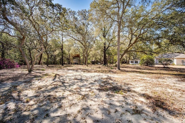 7420 Pake Rd, Saraland, AL 36571 - view of yard