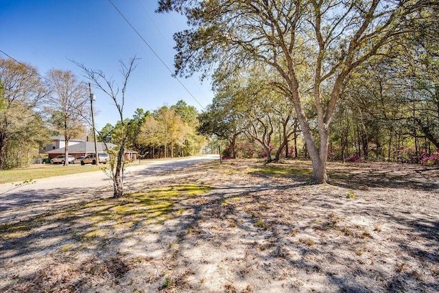 7420 Pake Rd, Saraland, AL 36571 - view of yard