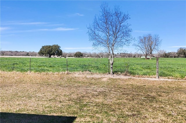 view of yard with a rural view