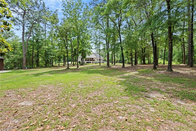 view of yard