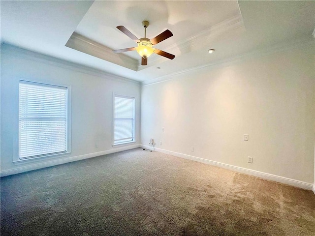 spare room with a raised ceiling, ornamental molding, a ceiling fan, carpet flooring, and baseboards