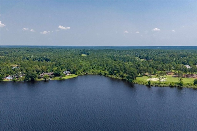 34460 Steelwood Ridge Rd, Loxley, AL 36551 - aerial view of a heavily wooded area and a nearby body of water