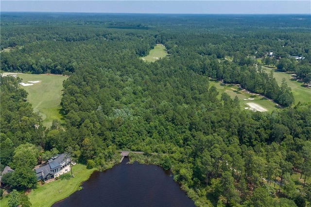 34460 Steelwood Ridge Rd, Loxley, AL 36551 - aerial view of property's location with a heavily wooded area and a large body of water