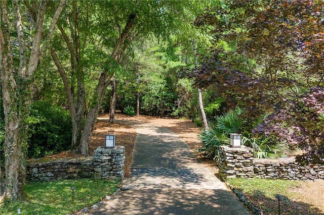 34460 Steelwood Ridge Rd, Loxley, AL 36551 - view of community featuring asphalt driveway