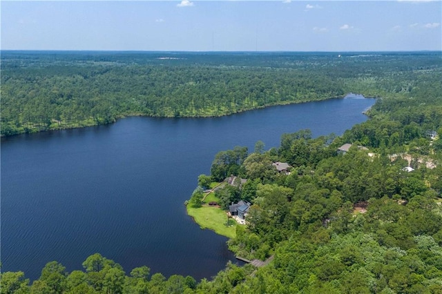 34460 Steelwood Ridge Rd, Loxley, AL 36551 - drone / aerial view of a nearby body of water