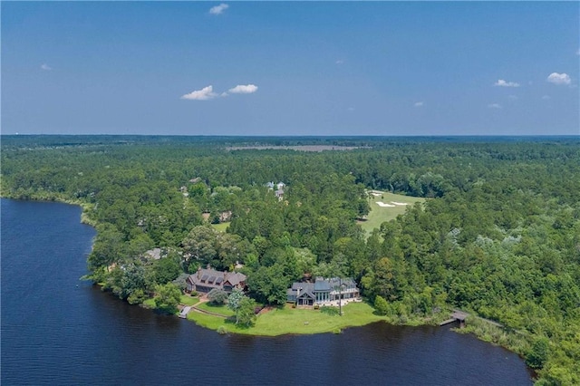 34460 Steelwood Ridge Rd, Loxley, AL 36551 - drone / aerial view of a heavily wooded area and a nearby body of water