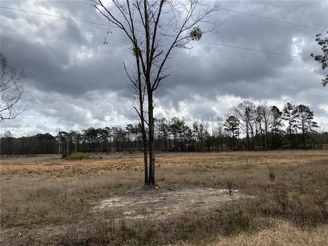 Listing photo 2 for 1985 Dead Lake Marina Rd, Creola AL 36525