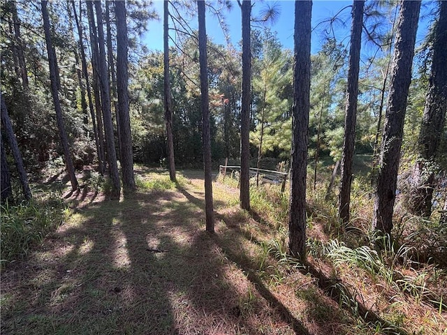 6830 Freedom Ln, Eight Mile, AL 36613 - view of undeveloped land