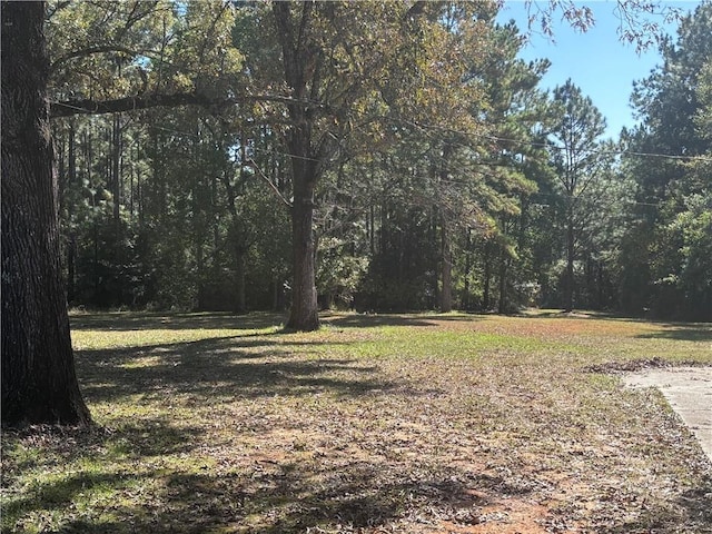 6830 Freedom Ln, Eight Mile, AL 36613 - view of green lawn featuring a wooded view