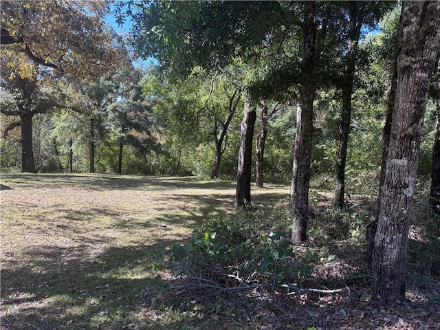 6830 Freedom Ln, Eight Mile, AL 36613 - view of wooded area