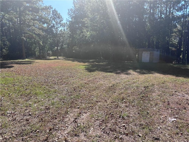 view of yard featuring a storage unit