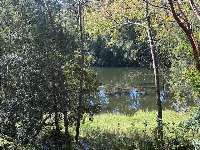 view of water feature