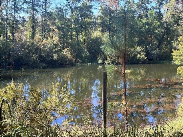 view of water feature