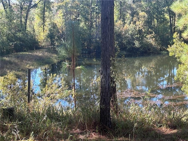 view of water feature