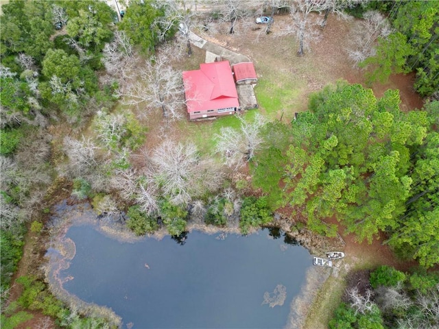 6830 Freedom Ln, Eight Mile, AL 36613 - view from above of property featuring a nearby body of water
