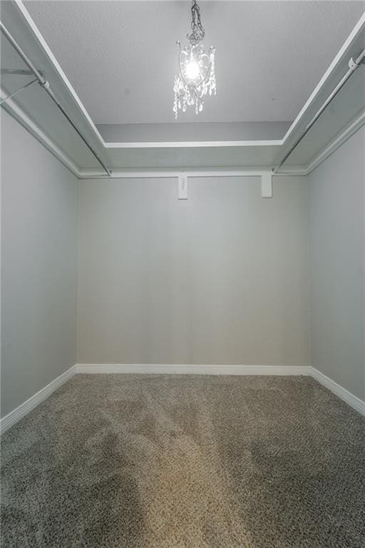 spacious closet featuring carpet floors