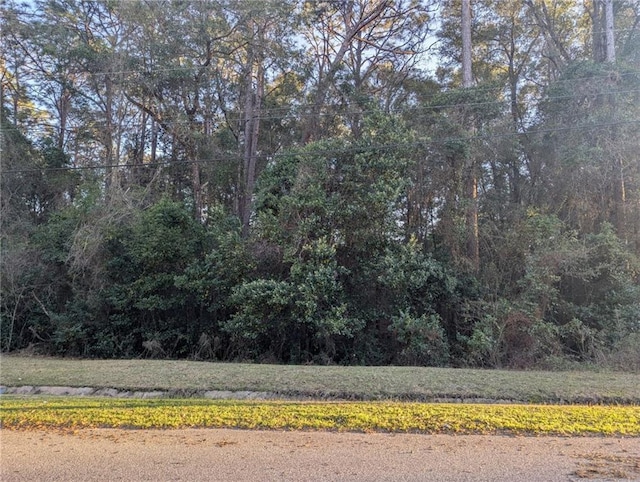 0 Laverne Dr E, Mobile, AL 36618