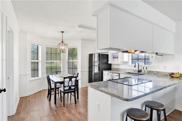 13310 August Dr, Mobile, AL 36695 - kitchen with a sink, freestanding refrigerator, electric cooktop, a chandelier, and a peninsula