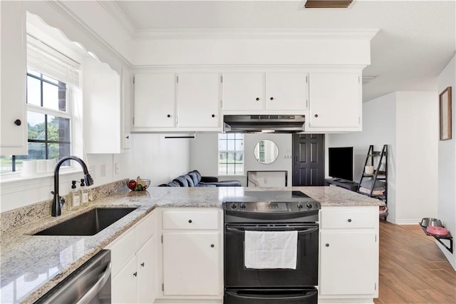 13310 August Dr, Mobile, AL 36695 - kitchen with black / electric stove, a sink, under cabinet range hood, dishwasher, and plenty of natural light