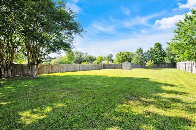 13310 August Dr, Mobile, AL 36695 - view of yard with a shed and an outbuilding
