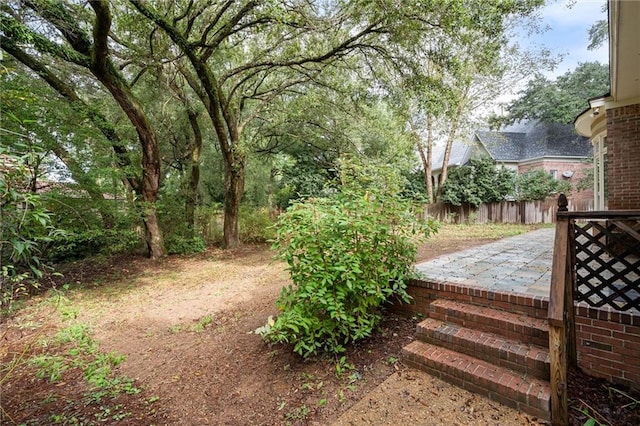 view of yard with a patio