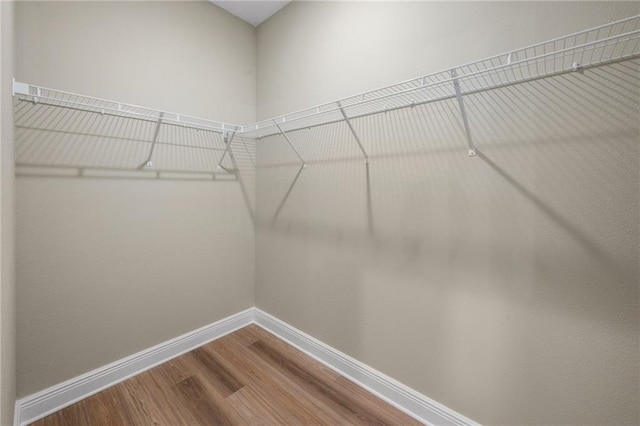 spacious closet featuring wood finished floors