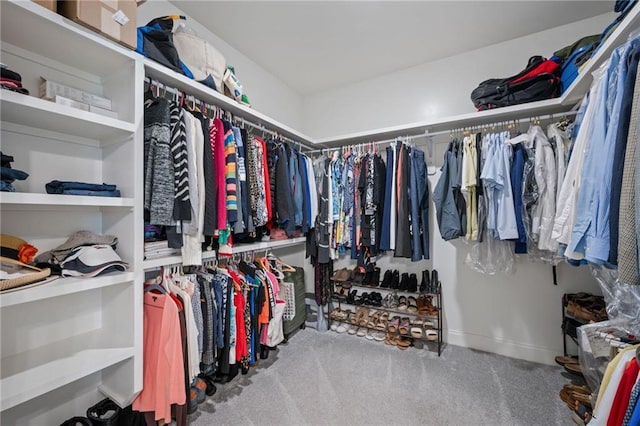 spacious closet featuring carpet floors