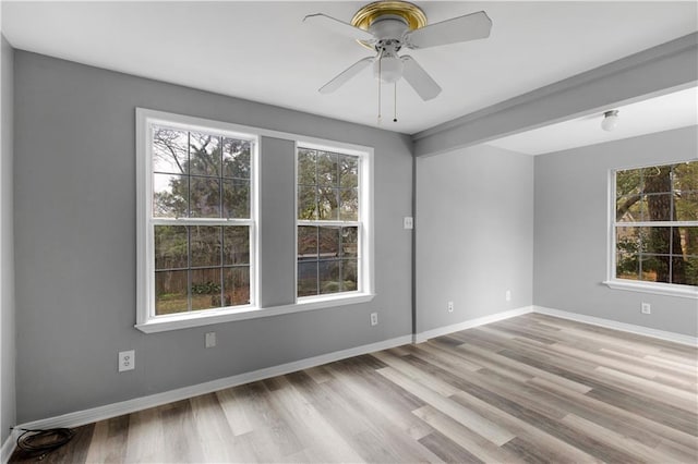 unfurnished room featuring baseboards, a ceiling fan, light wood-style flooring, and a healthy amount of sunlight