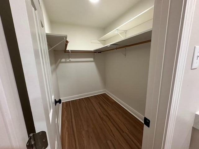 3050 Lacoste Rd, Mobile, AL 36618 - spacious closet with dark wood-style flooring
