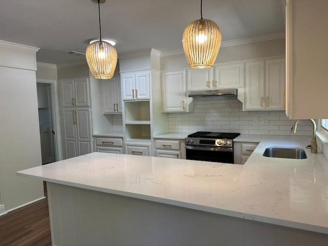 3050 Lacoste Rd, Mobile, AL 36618 - kitchen with stainless steel range, a sink, under cabinet range hood, light stone counters, and crown molding