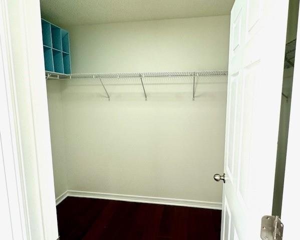 walk in closet featuring dark wood-type flooring